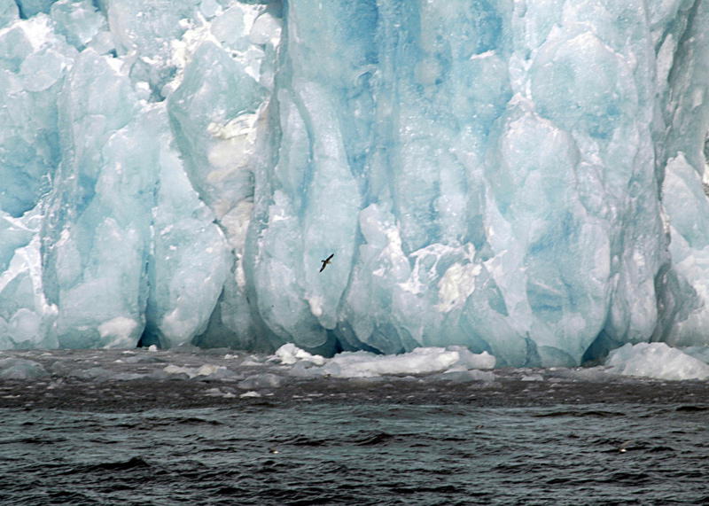 Das blaue Gletschereis von der Naehe, Konsvegen Gletscher (Bild von Linda Ashmore)
